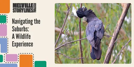 Navigating the Suburbs: A Wildlife Perspective