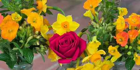 Flower Therapy Workshop