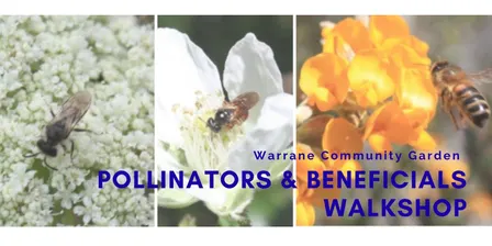 Sunday Skillshare Series 2026 (Warrane Community Garden)