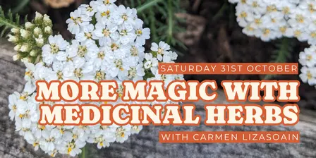 More Magic with Medicinal Herbs!