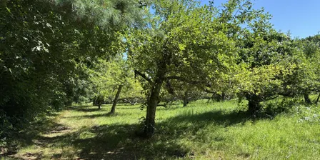 Tour of Three Penny Farm