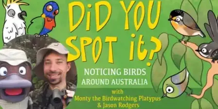 “Did You Spot It?” – Children’s puppet show about birds