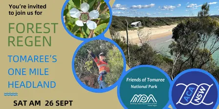 Coastal Forest Regen at Tomaree's One Mile - 26 Sept 2026