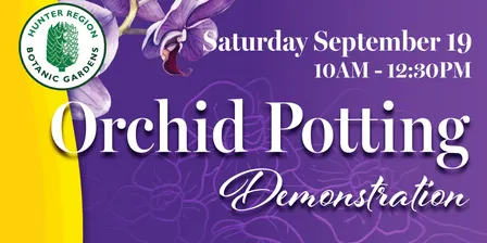 Orchid Potting Demonstration with Stu Webb