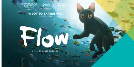 Movie Craft - Flow