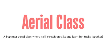 Beginner Aerial Class