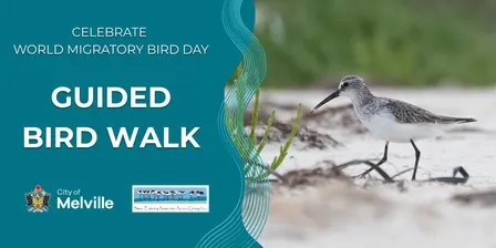 World Migratory Bird Day 2026