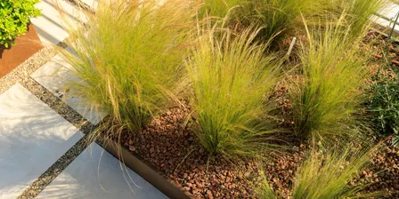 Thinking Green: Greener gardens, safer homes