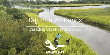 Dig Into Wetlands Workshop Series