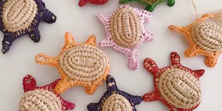 Interwoven (Aboriginal weaving- advanced turtle making)