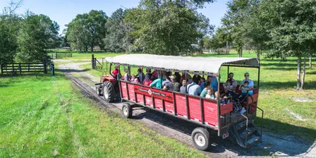 Family Farm Fun Day 10/10/26