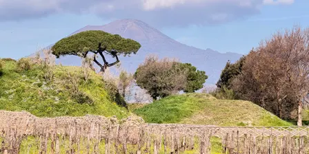 An Italian Wine Tasting & Lunch with Michael Palij MW