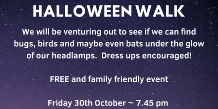 Halloween night walk