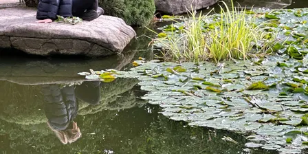 Seeding Creative Ideas at Himeji Gardens