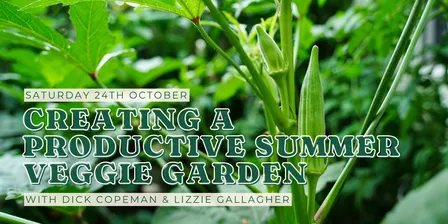 Creating a Productive Summer Veggie Garden