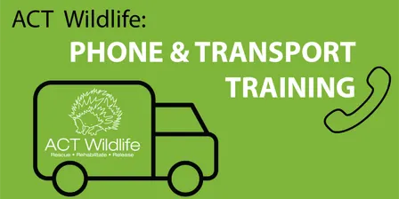 Phone and Transport training
