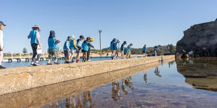 Kids on the Coast - Rock Platform Explorers