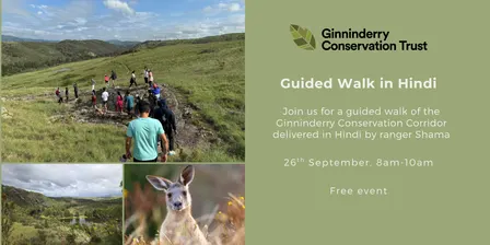 Hindi Guided Walk of the Ginninderry Conservation Corridor