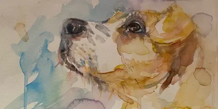 Moggies & Doggies Watercolour Workshop