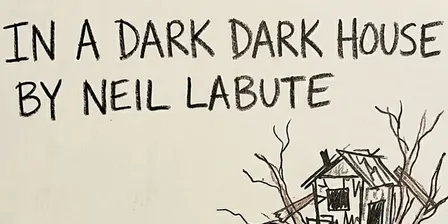 In A Dark Dark House