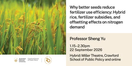 Why better seeds reduce fertilizer use efficiency: Hybrid rice, fertilizer subsidies, and offsetting effects on nitrogen demand