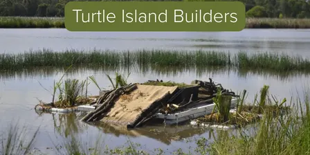 Turtle Island Builders Mount Barker