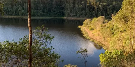 SHE TREKS - OCT HIKE - GOLDEN CREEK