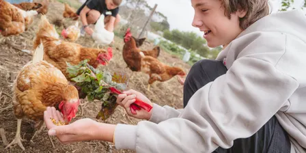 September 2026 School Holiday Program - A Day on the Farm