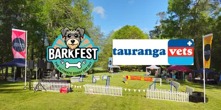 Tauranga Dog Dash - Brought to you by Tauranga Vets