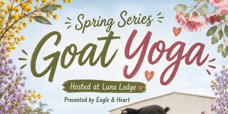 Spring Goat Yoga & Highland Cow Experience