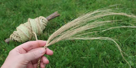 Making muka from tī kōuka