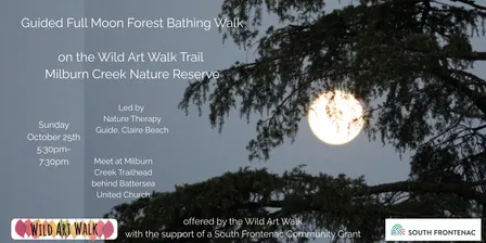 Full Moon Forest Bathing Walk