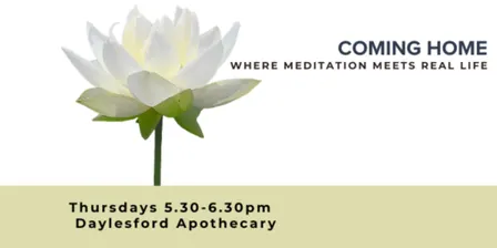 Coming Home: Where meditation meets real life
