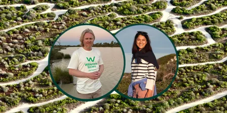 Stories Of Hope For Wilderness