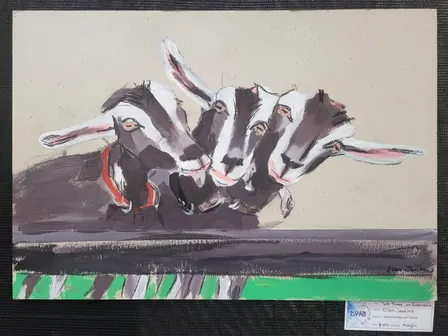 Diamond Valley Arts Society Art Show