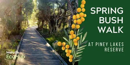 Spring Bush Walk Through Piney Lakes