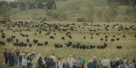 Dr Allen Williams Adaptive Grazing Workshop at CAVAN - YASS