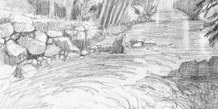 Art in Nature-guided art session in the Wolli Creek Regional Park