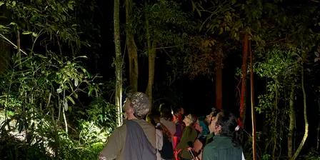 Spotlighting with Friends of Tallebudgera Creek CP