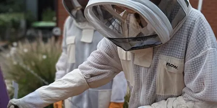Beekeeping or Bee-caring