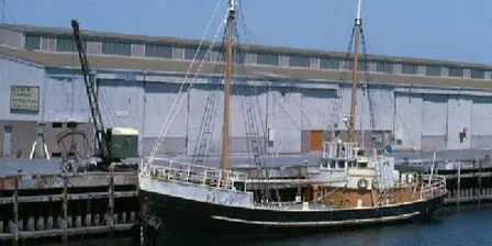 AK FALIE : A Century of History Guiding a Modern Future.