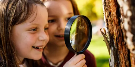 Billabong Bioblitz: Family Friendly Spider & Insect Walk - 7:30pm to 8:15pm