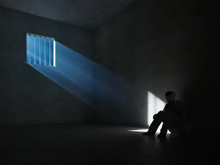 Mental Illness and Exoneration in the Law