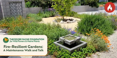 Fire-Resilient Gardens: A Maintenance Walk and Talk with Erik Blank — September 19, 2026