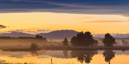 $20 Photography Workshop - Phone or Camera - Kaiapoi