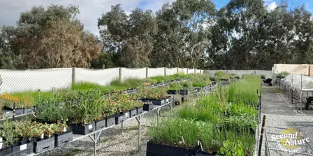 Mount Barker Community Nursery Volunteer Induction