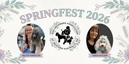 Springfest 2026