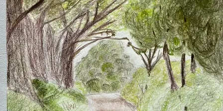 Lets Learn the art of Drawing