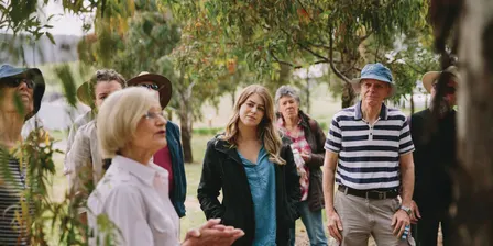 Guided Forest Walks