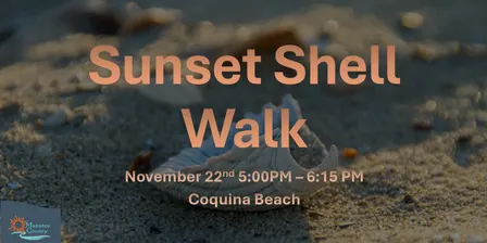Sunset Seashell Walk